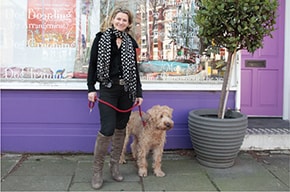 Pets in the City Pets in the City