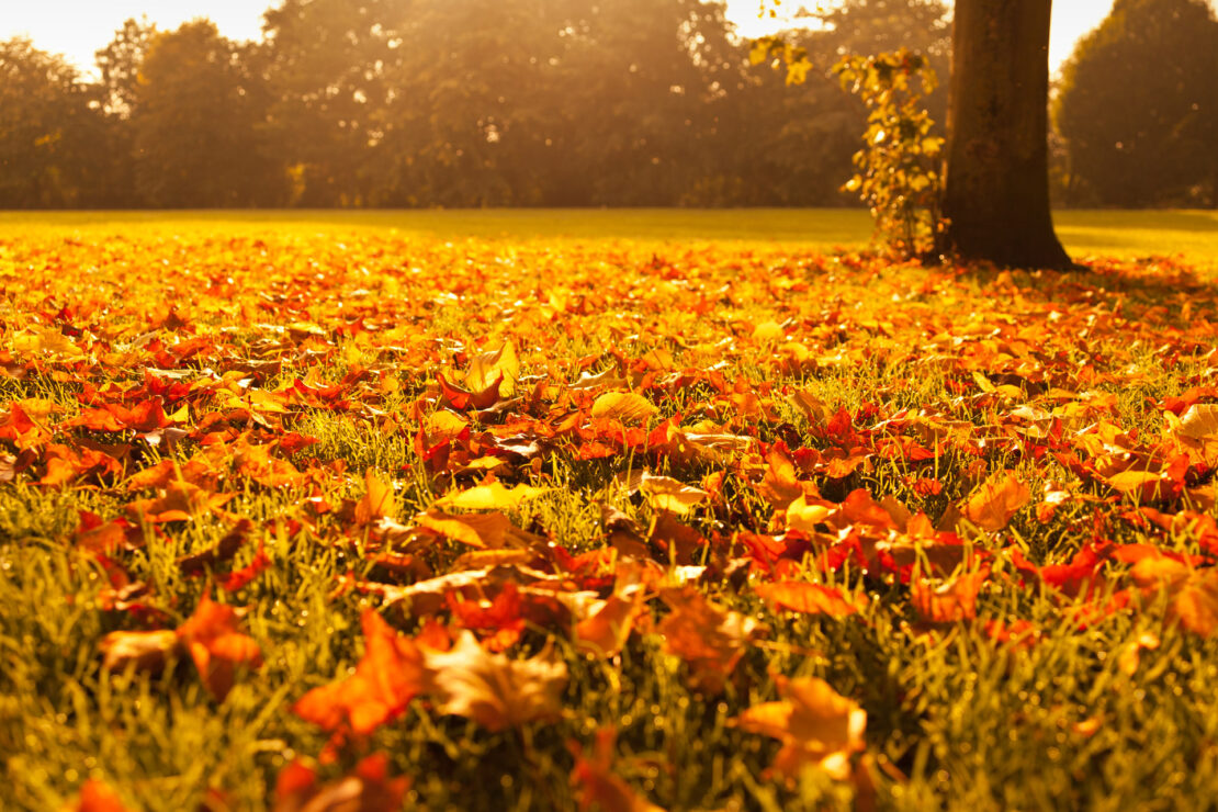 Top Tips for selling your house in Autumn