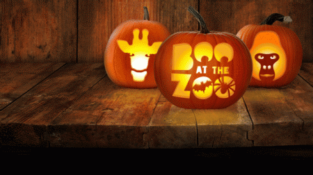 Halloween events in London 2017 - carved pumpkins for boo at the zoo