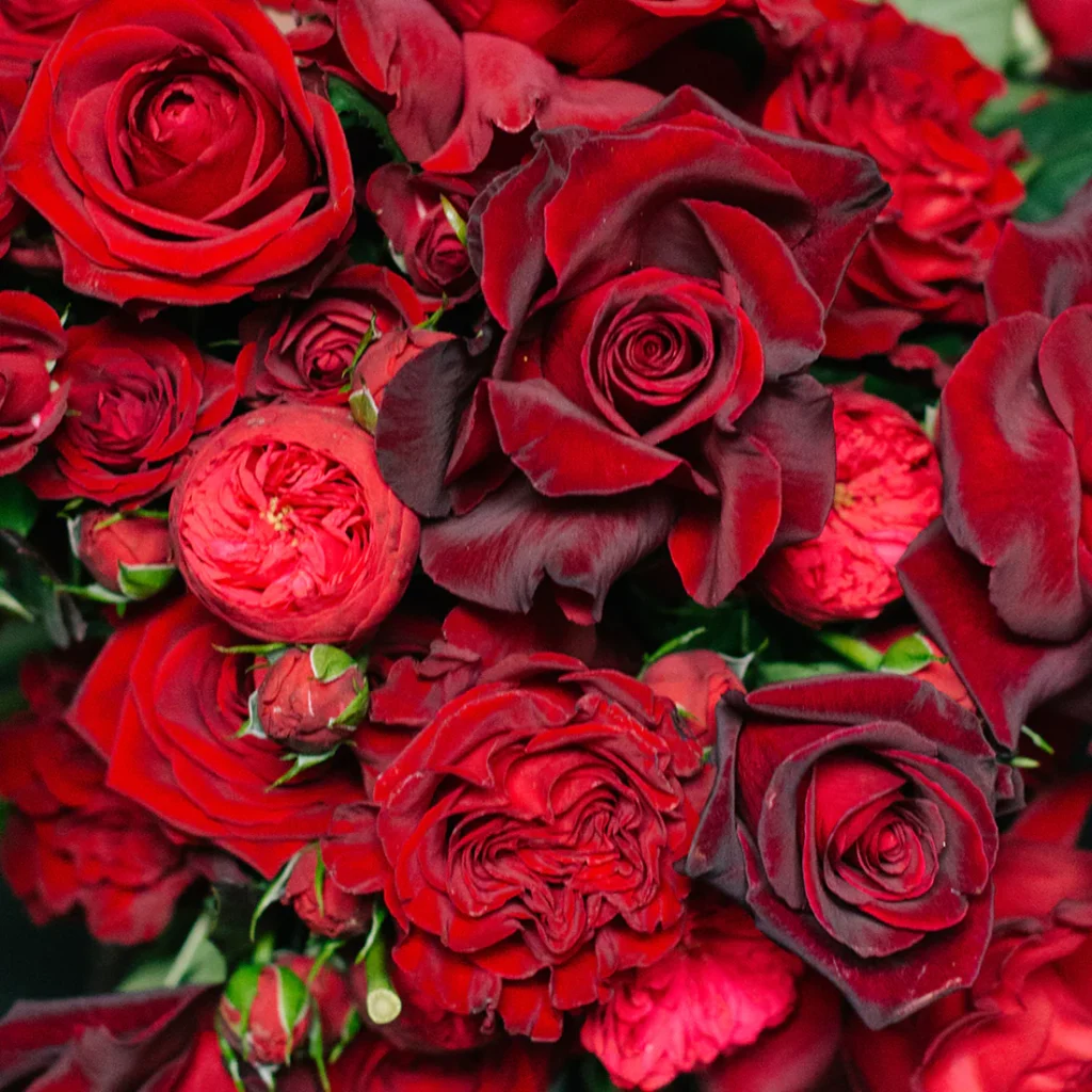 Blooming Lovely: Our favourite florists for Valentine’s and throughout the year